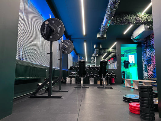 Adjustable Bench Press/Squat Rack