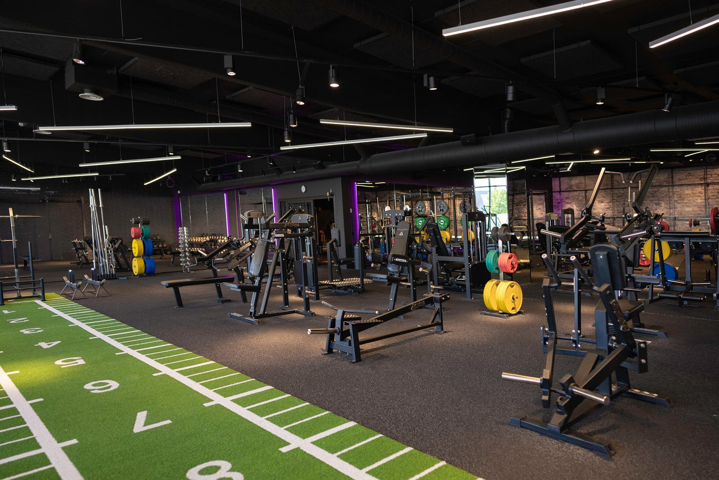 Weight Rack, 6 Placements