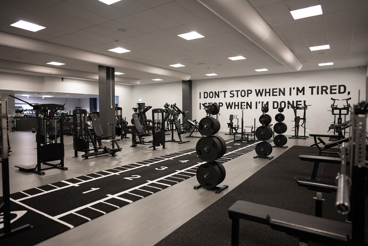 Weight Rack, 8 Placements