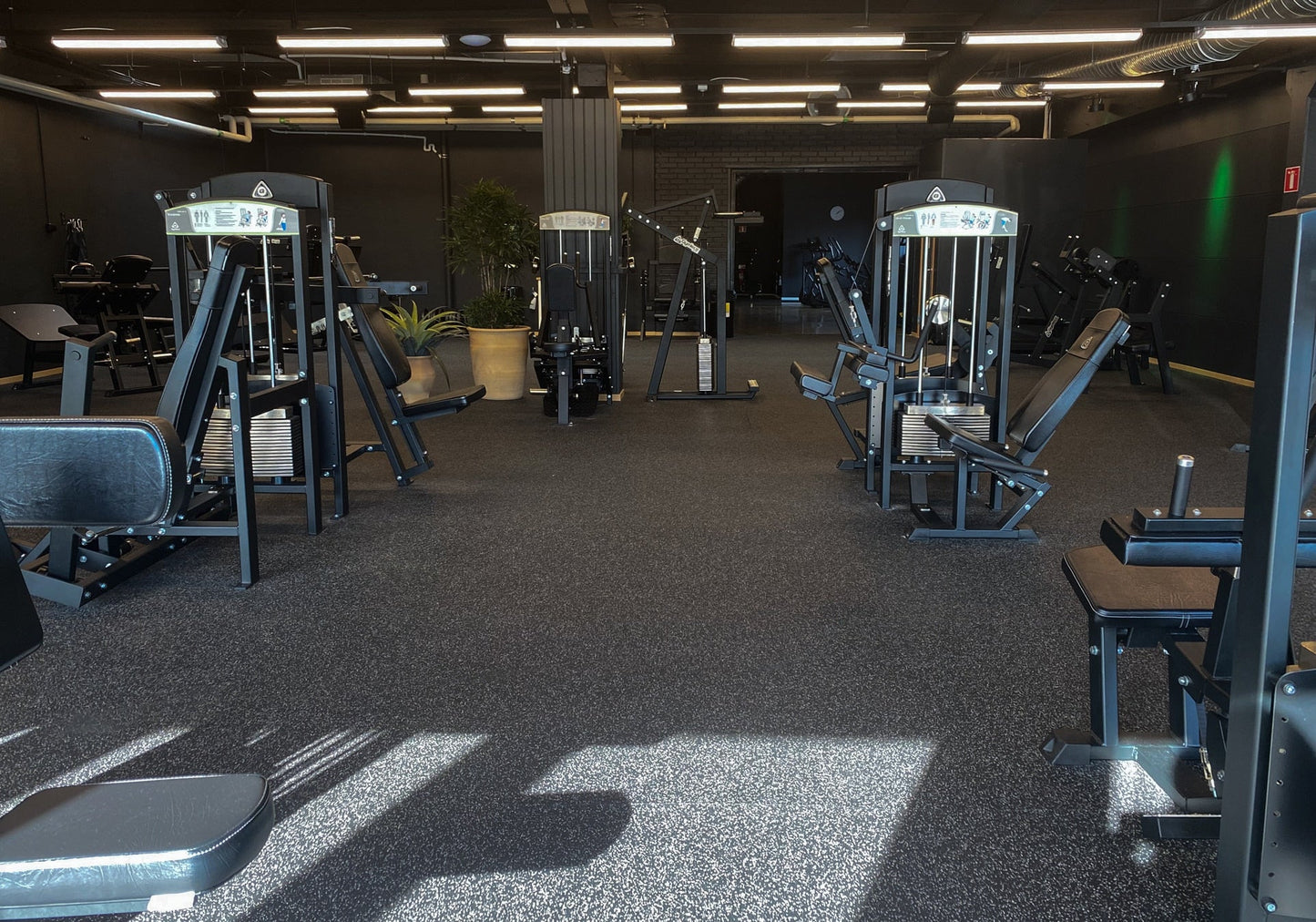 341 Seated Leg Curl