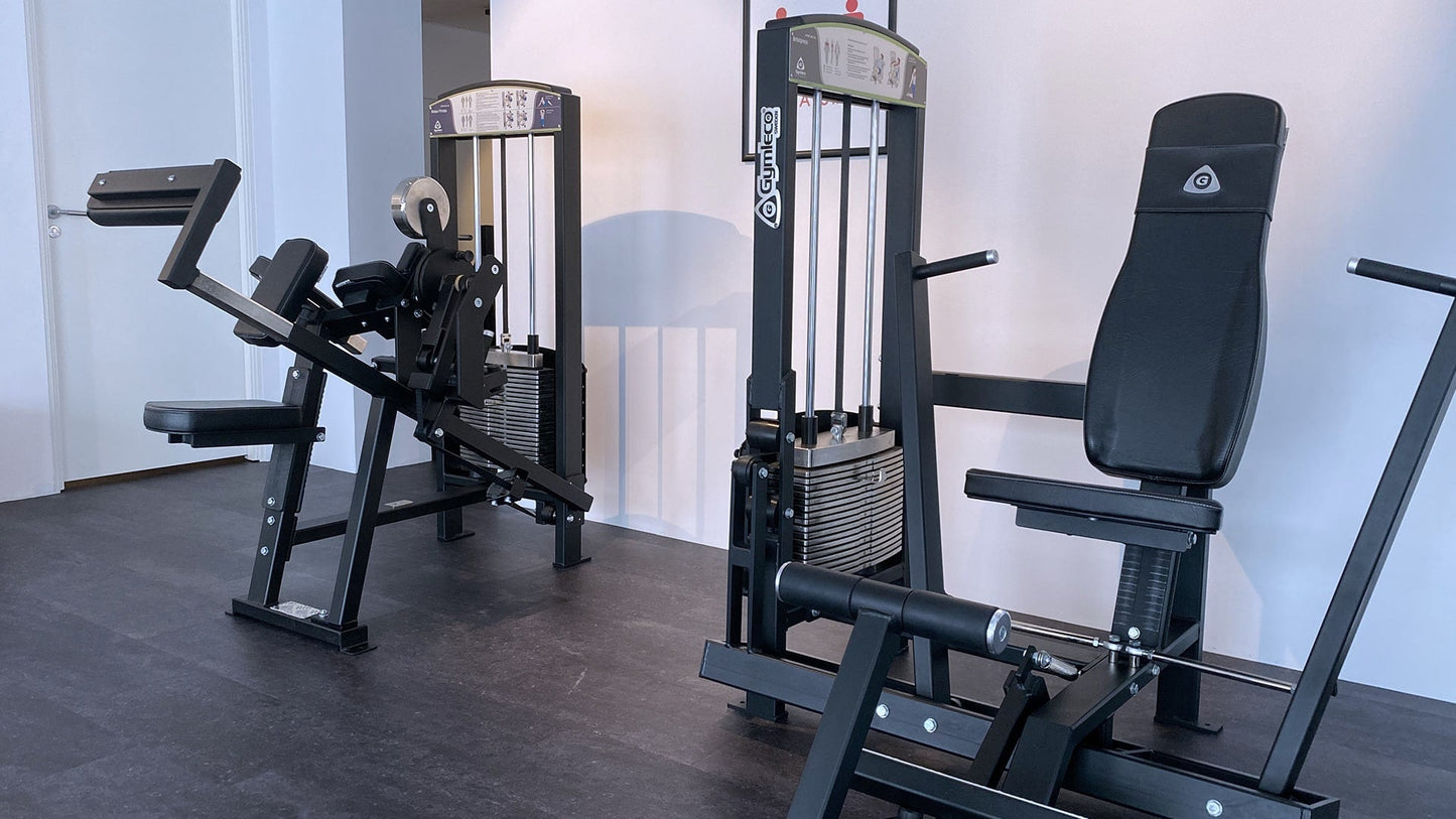 355 Biceps/Triceps