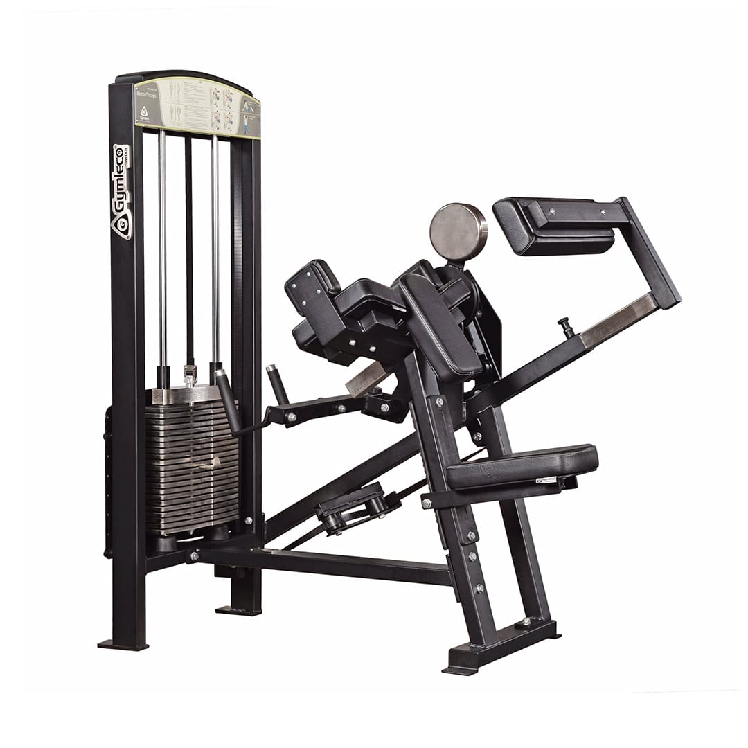 355 Biceps/Triceps