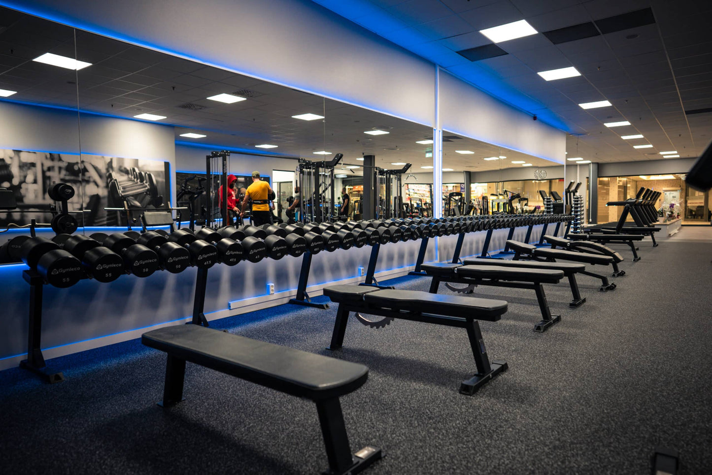 Fixed Flat Bench