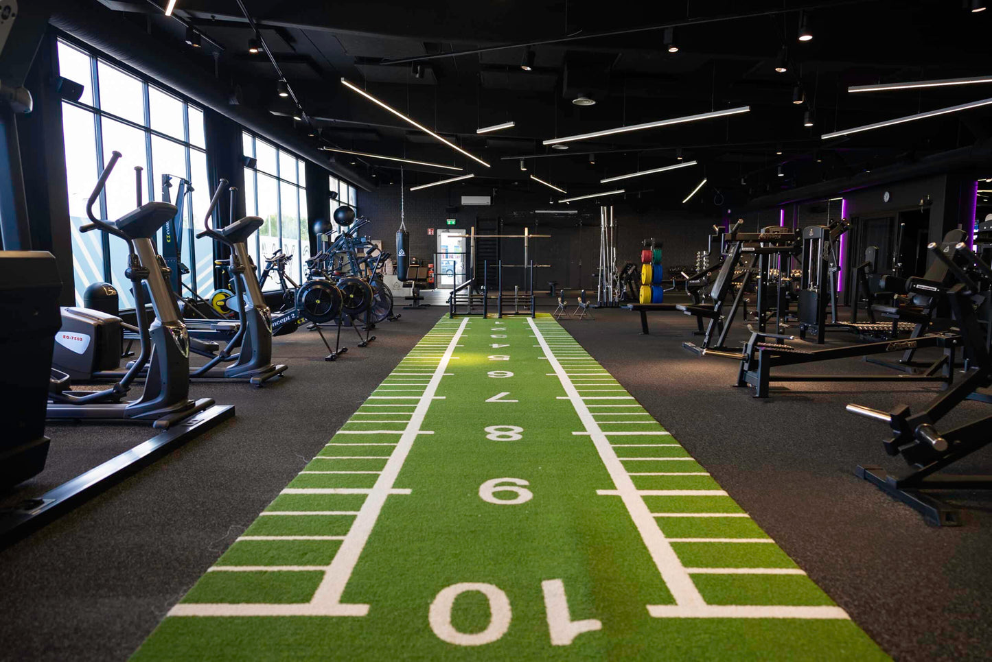 Artificial Gym Grass Track, Green