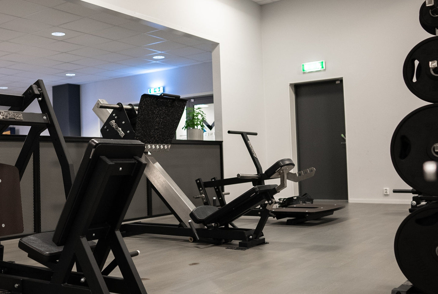 243 Leg Press 45°