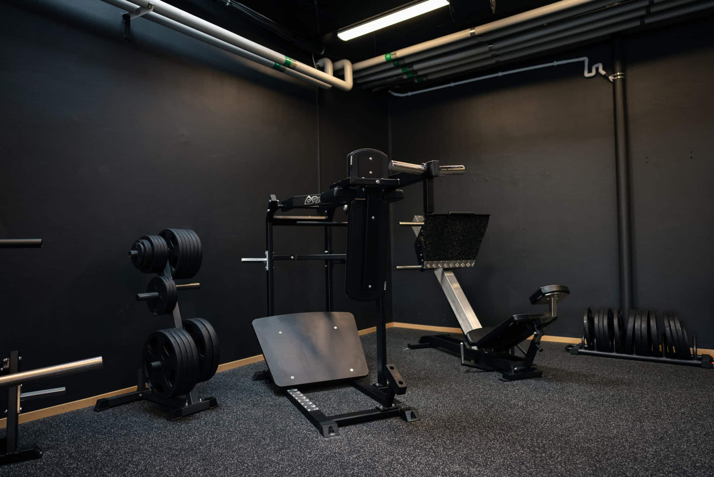 045 Pendulum Squat