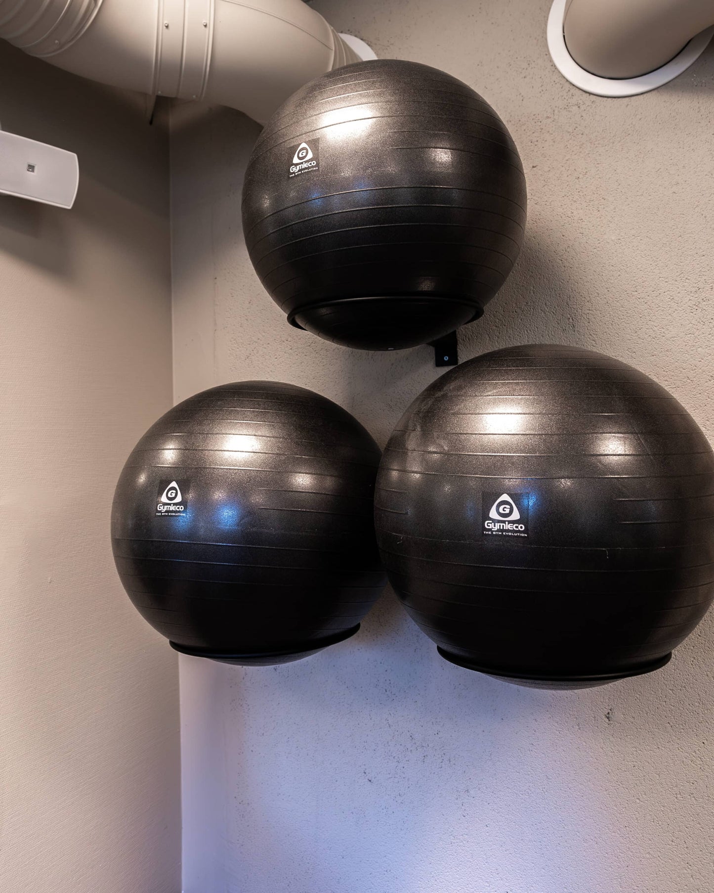 Gymnastic Ball (55cm/65cm/75cm)