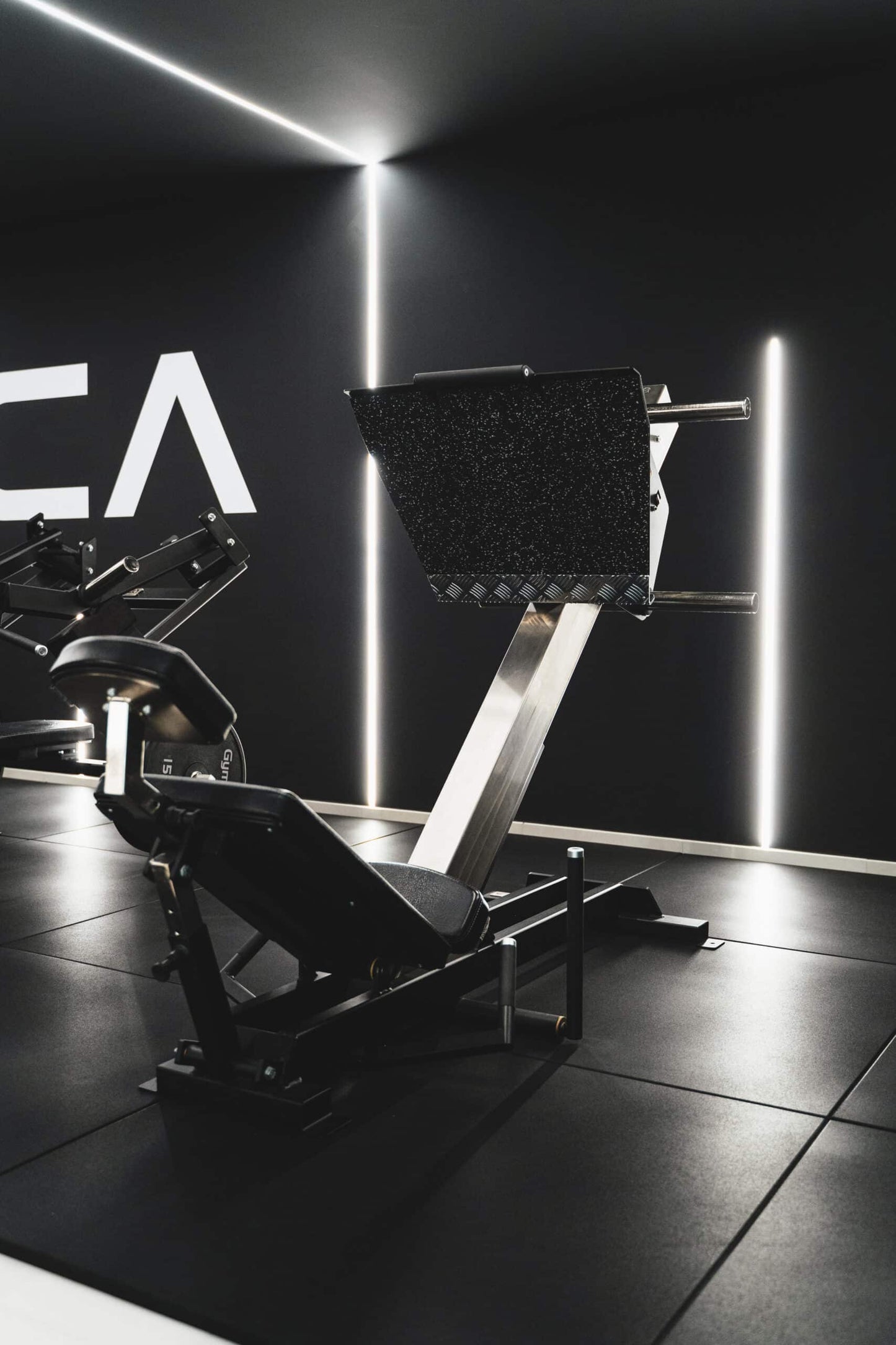 243 Leg Press 45°