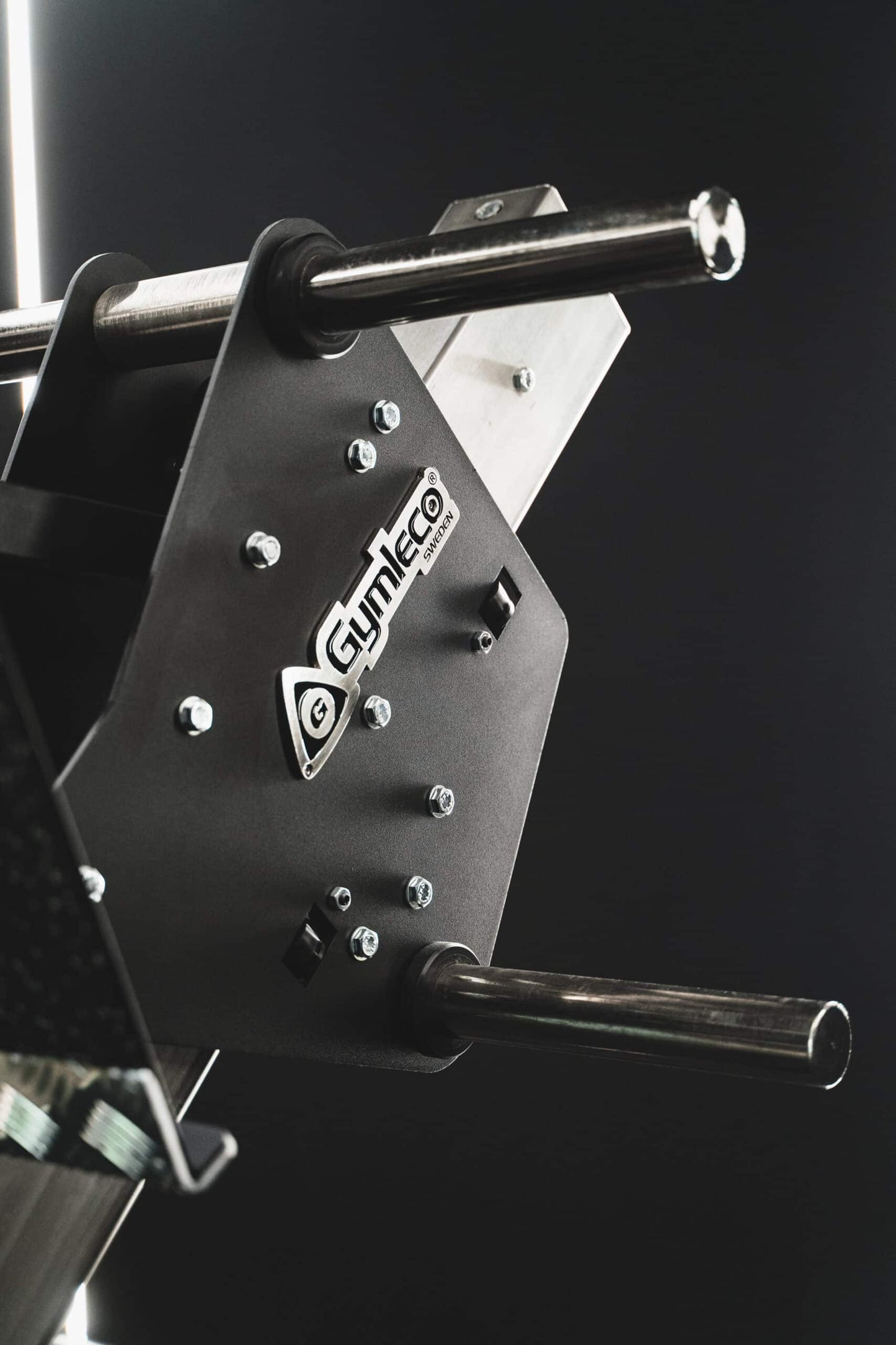 243 Leg Press 45°