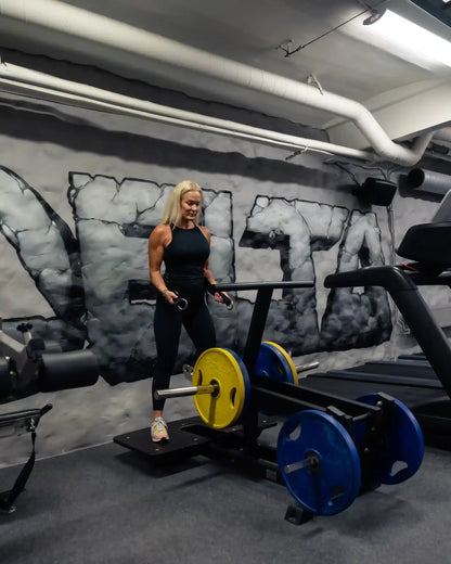 082 Belt Squat Machine