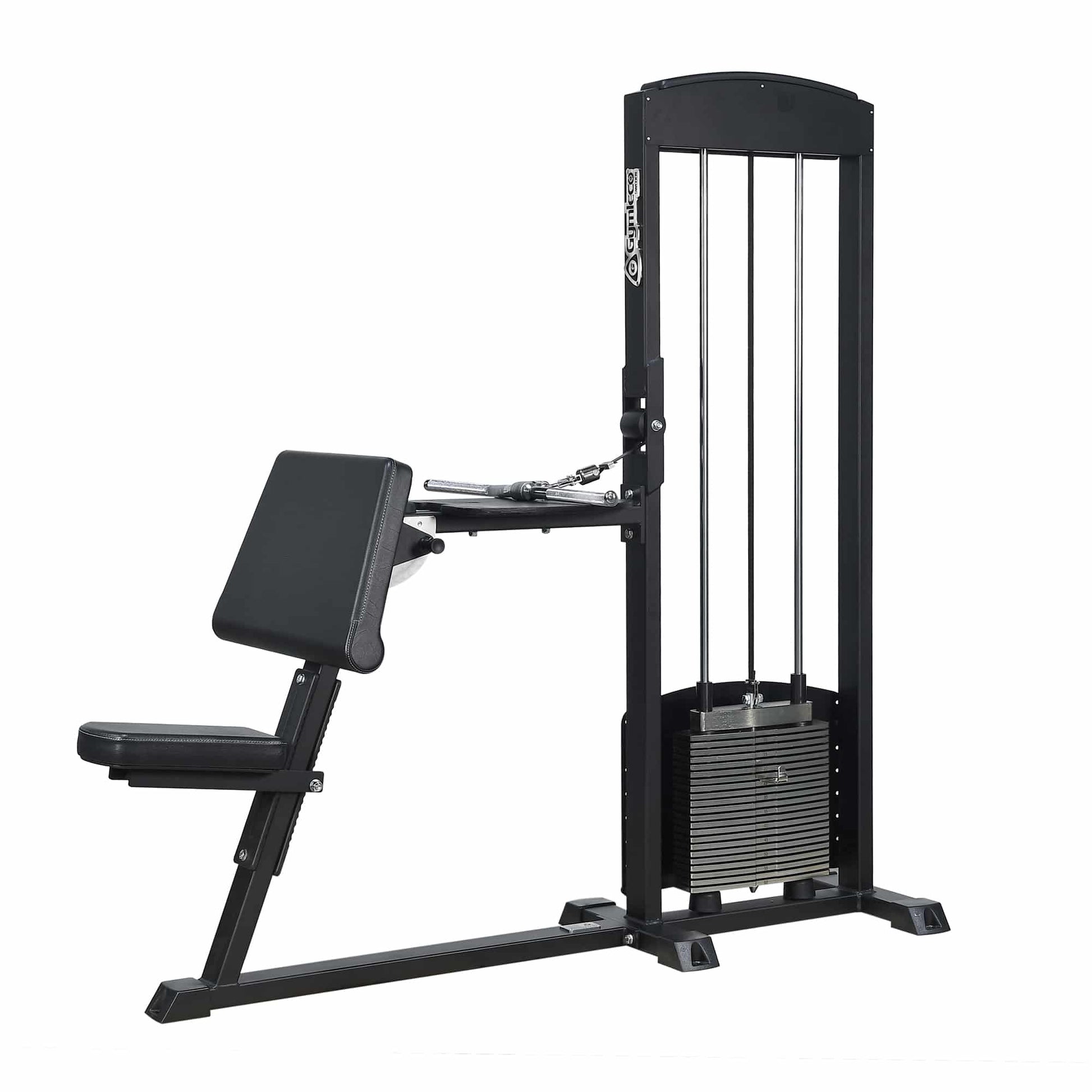 255 Biceps/Triceps