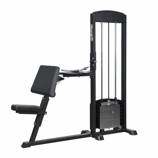 255 Biceps/Triceps