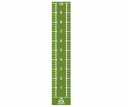 Artificial Gym Grass Track, Green