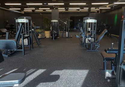 341 Seated Leg Curl