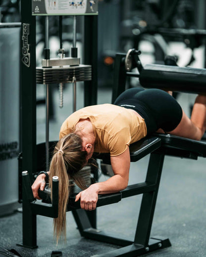342 Lying Leg Curl