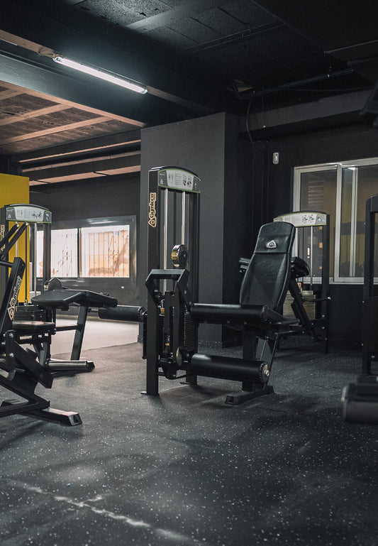 340 Leg Extension