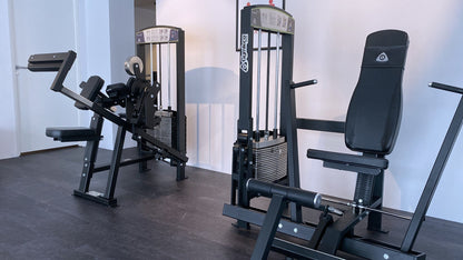 355 Biceps/Triceps 