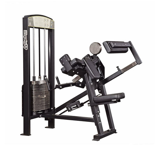 355 Biceps/Triceps