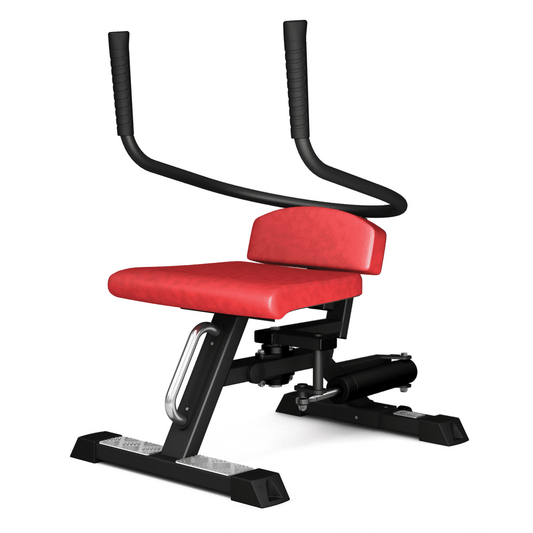 975 Waist Rotator