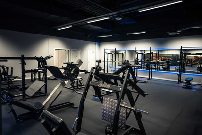 243 Leg Press 45°