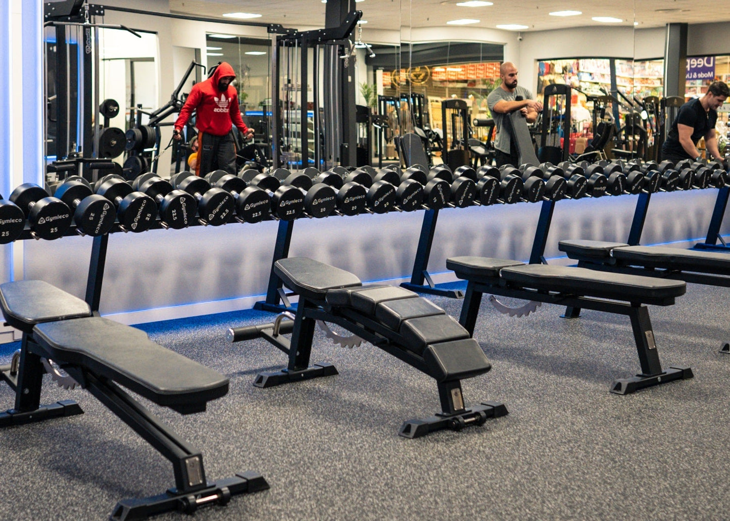 Adjustable Decline Bench Curved