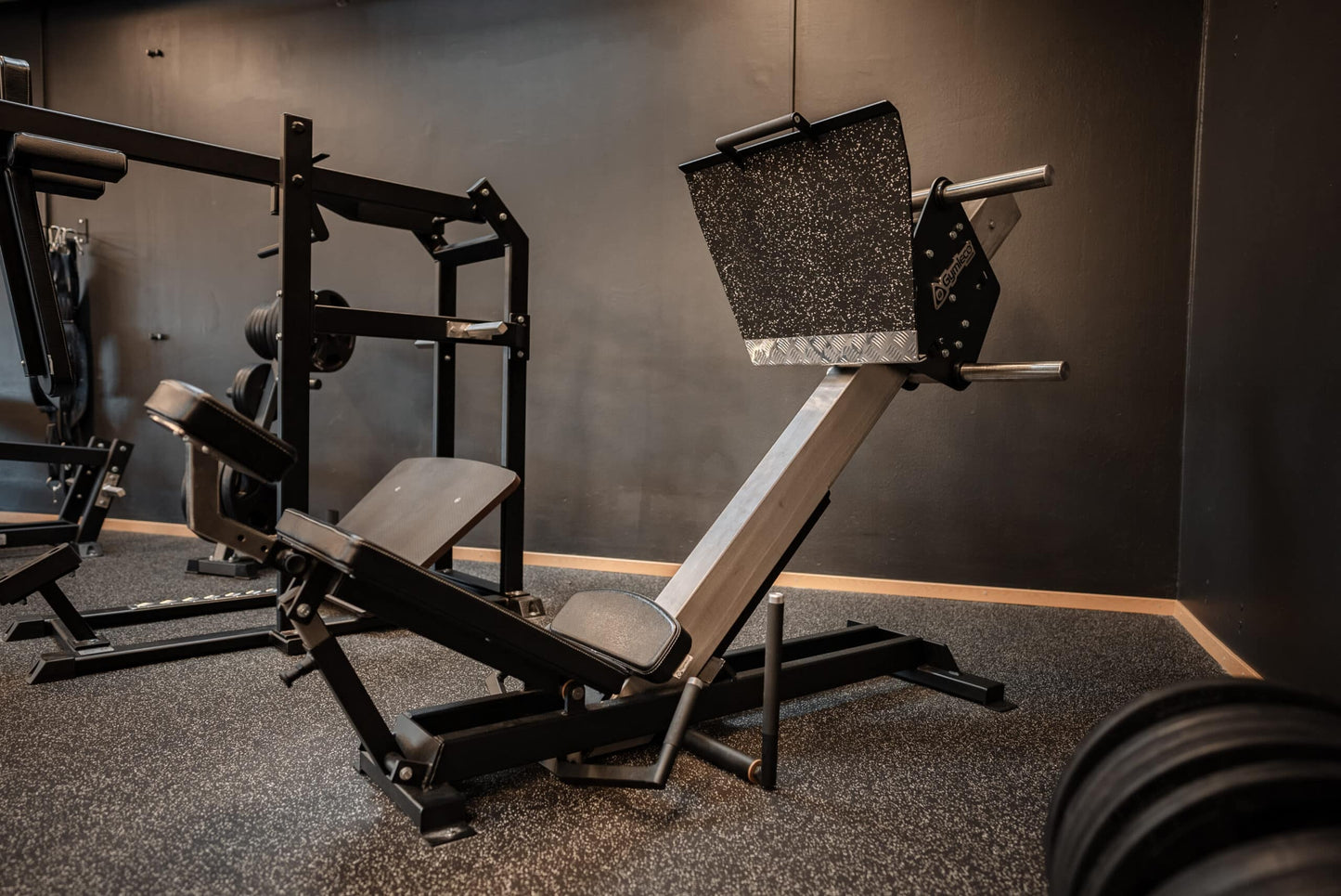 243 Leg Press 45°