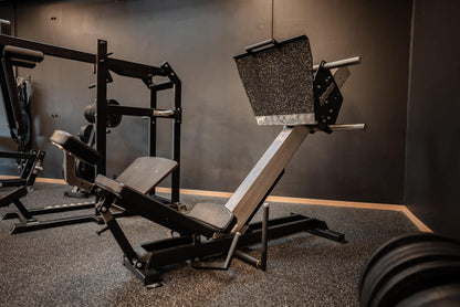 243 Leg Press 45°