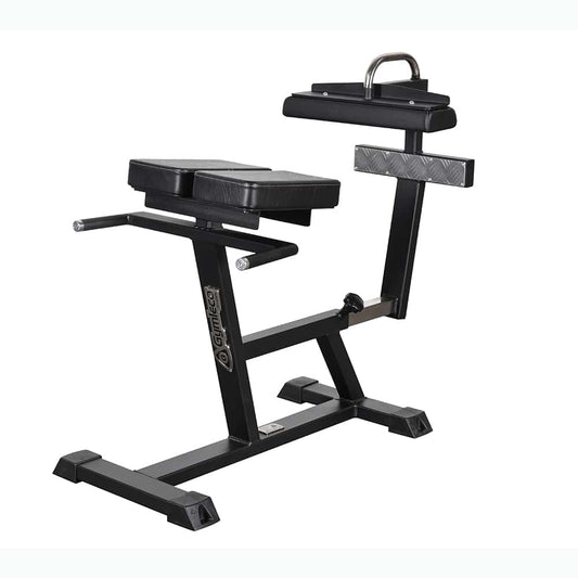 Back Raise (90 degrees)