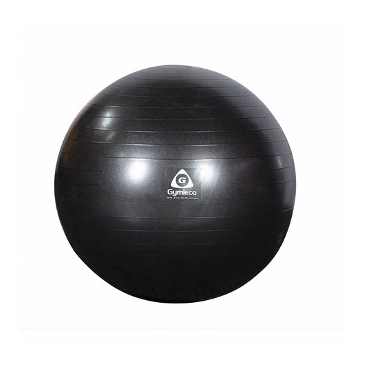 Gymnastic Ball (55cm/65cm/75cm)